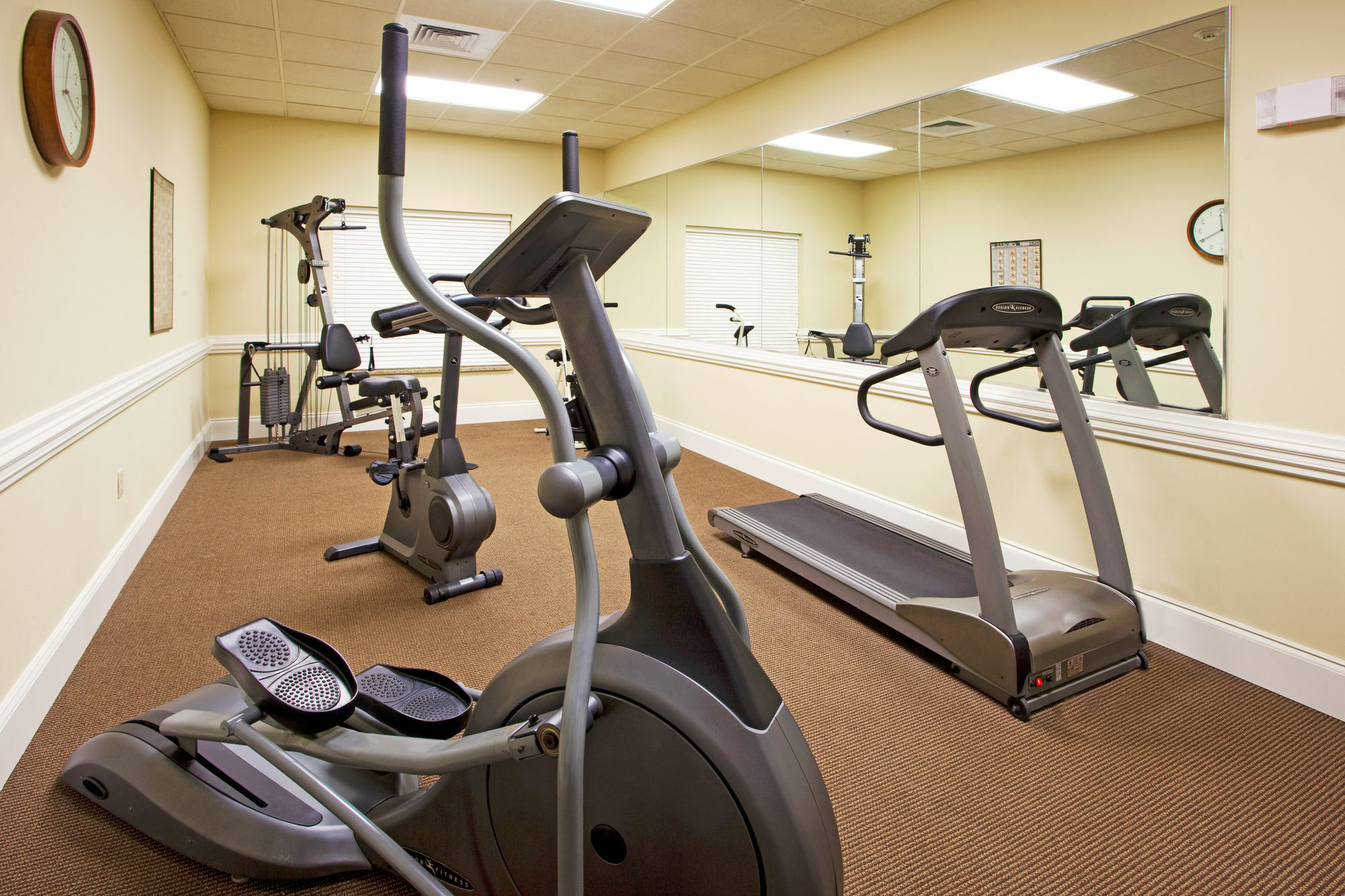 Holiday Inn Express & Suites - Valdosta By Ihg 외부 사진
